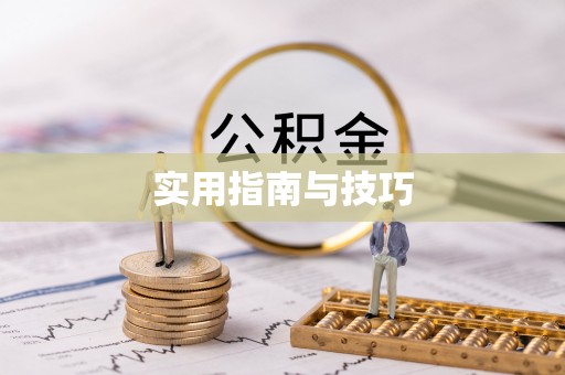 香格里拉实用指南与技巧