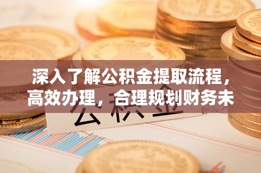 香格里拉深入了解公积金提取流程，高效办理，合理规划财务未来