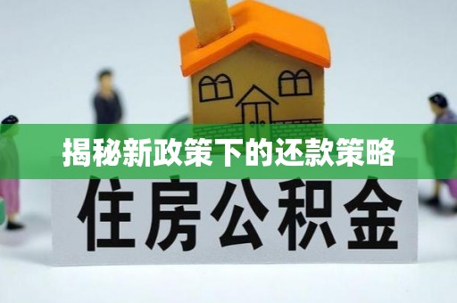 香格里拉揭秘新政策下的还款策略