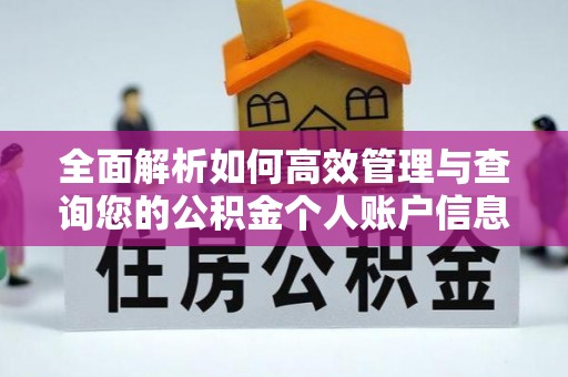 香格里拉全面解析如何高效管理与查询您的公积金个人账户信息