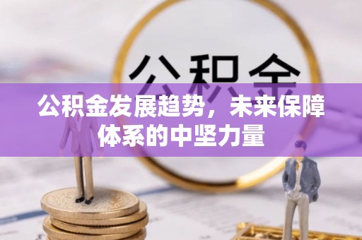 香格里拉公积金发展趋势，未来保障体系的中坚力量