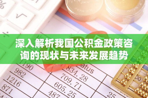 香格里拉深入解析我国公积金政策咨询的现状与未来发展趋势