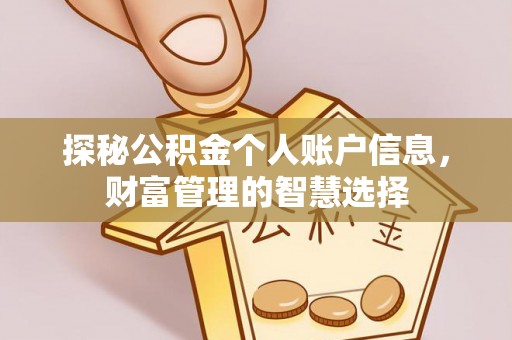 香格里拉探秘公积金个人账户信息，财富管理的智慧选择