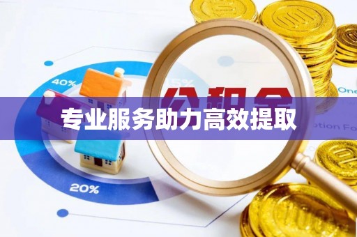 香格里拉专业服务助力高效提取