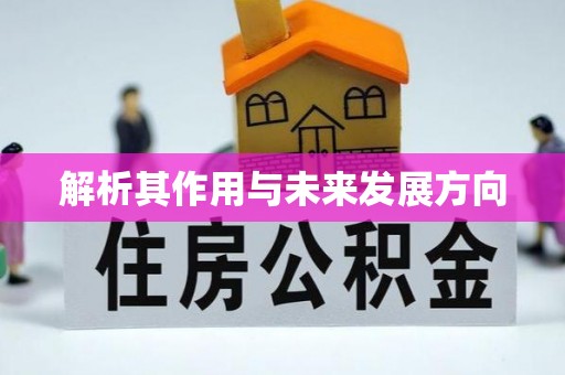 香格里拉解析其作用与未来发展方向