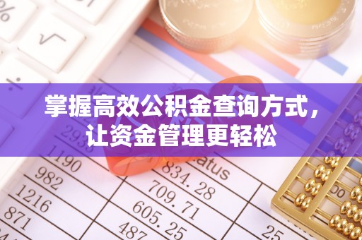 香格里拉掌握高效公积金查询方式，让资金管理更轻松